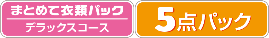 【まとめて衣類パック】デラックスコース　5点パック