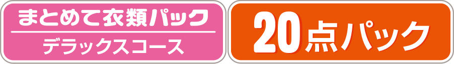 【まとめて衣類パック】デラックスコース　20点パック