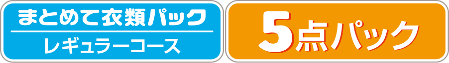 【まとめて衣類パック】レギュラーコース　5点パック